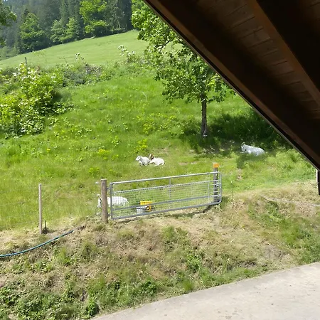 Hugenhof Appartamento Kirchzarten