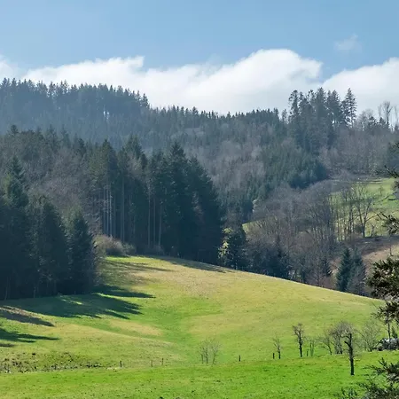 Hugenhof Daire Kirchzarten